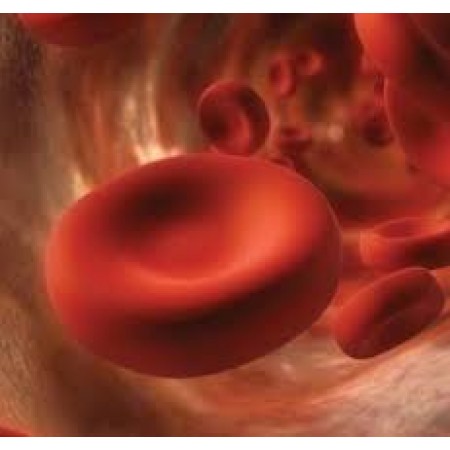 murine MAb against human tissue factor